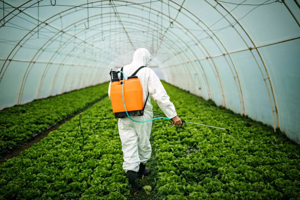 Best Affordable Exterminators  in Ddanelle, AR