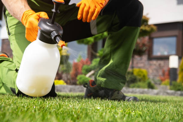 Best Exterminator Services  in Ddanelle, AR
