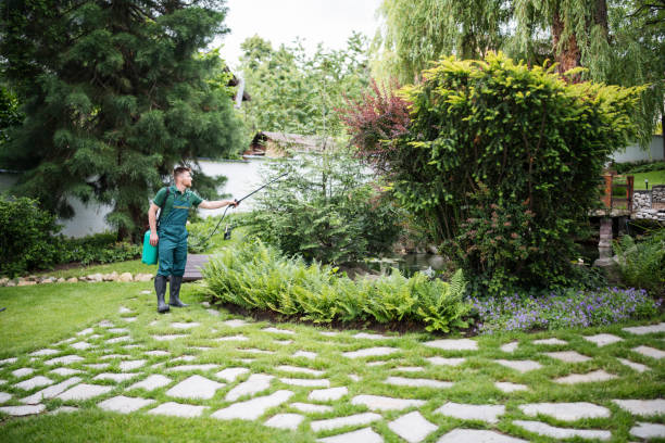 Best Residential Pest Control  in Ddanelle, AR