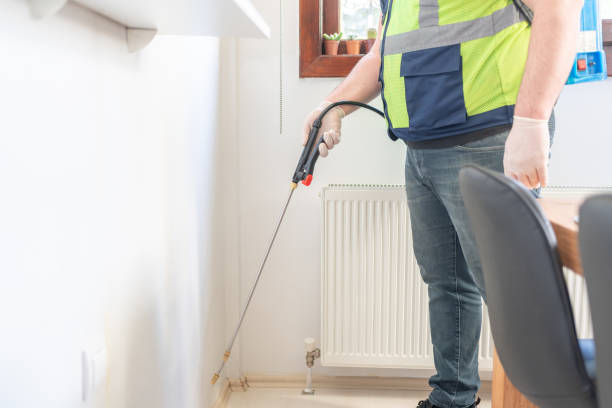 Best Rat Extermination Near Me  in Ddanelle, AR