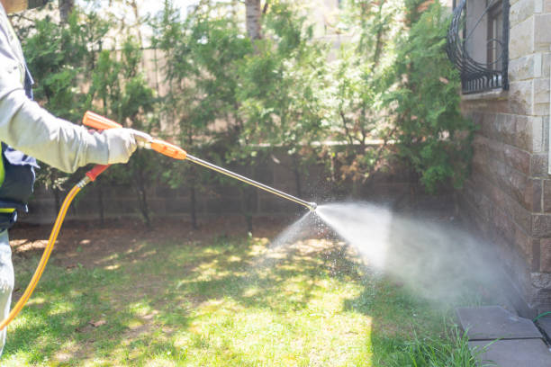 Insect Control in Dardanelle, AR
