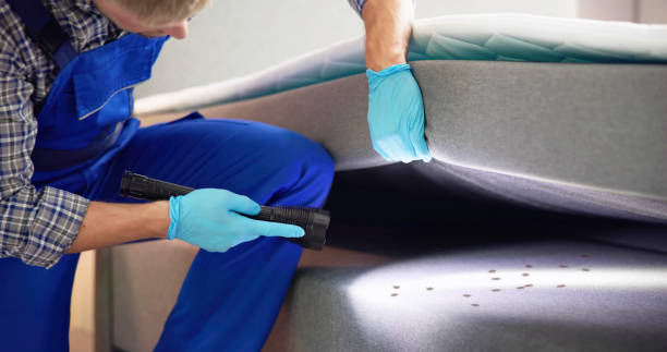 Best Emergency Pest Control  in Ddanelle, AR