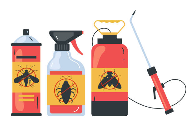 Best Termite Control Services  in Ddanelle, AR