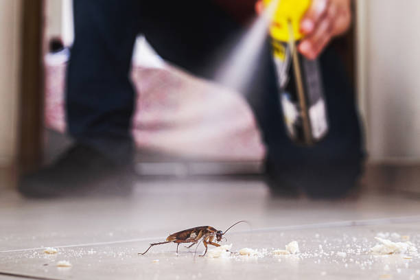 Best Best Pest Control Companies  in Ddanelle, AR