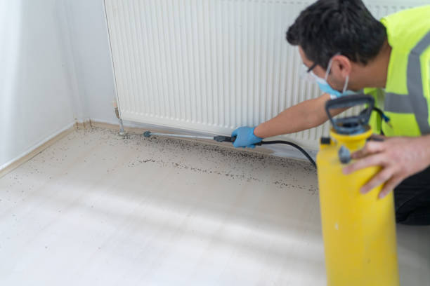 Best Pest Inspection Near Me  in Ddanelle, AR